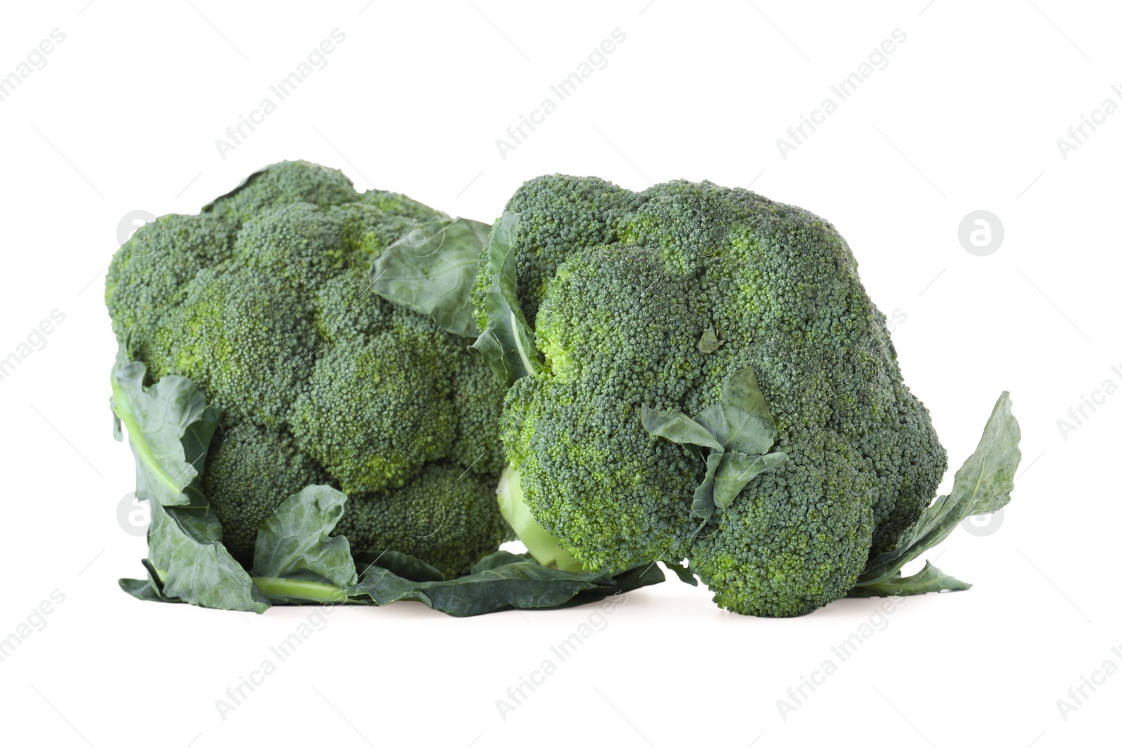 Photo of Fresh green broccoli isolated on white. Organic food