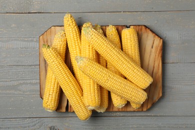 Corn cobs on grey wooden table, top view