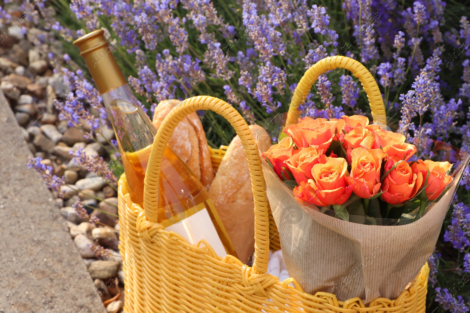 Photo of Yellow wicker bag with beautiful roses, bottle of wine and baguettes near lavender flowers outdoors, closeup
