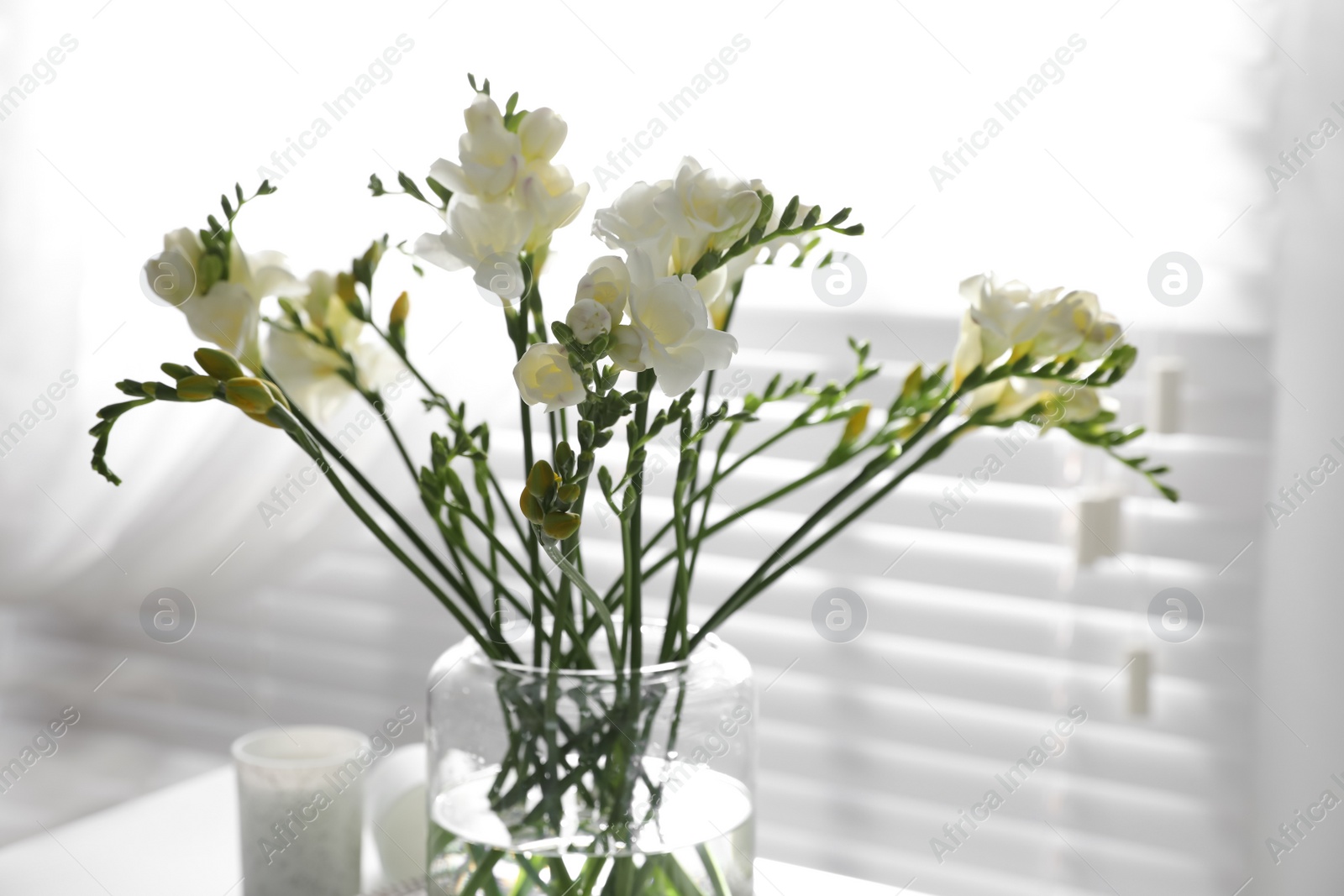 Photo of Beautiful spring freesia flowers in room, closeup