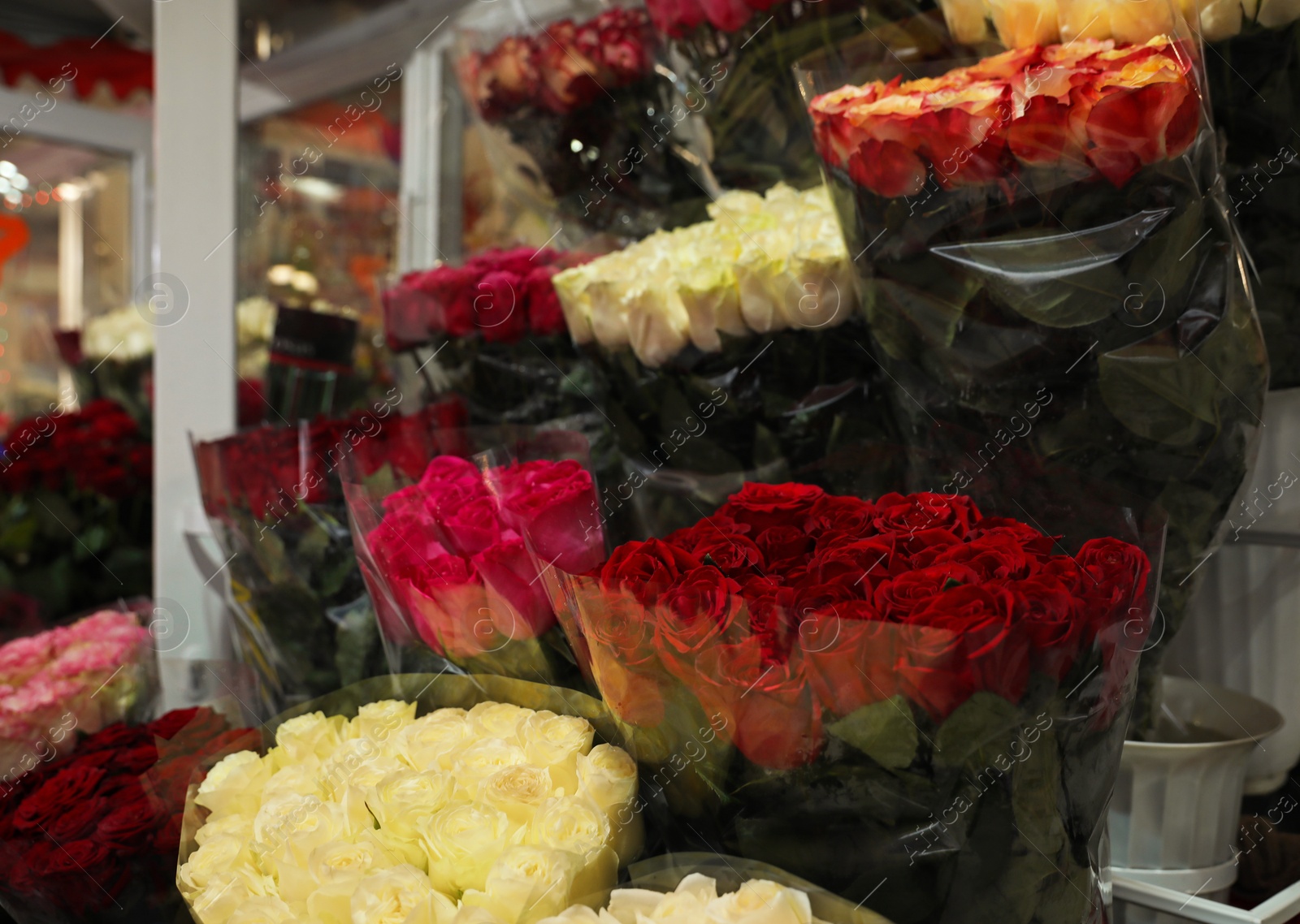 Photo of Assortment of beautiful flowers at wholesale market