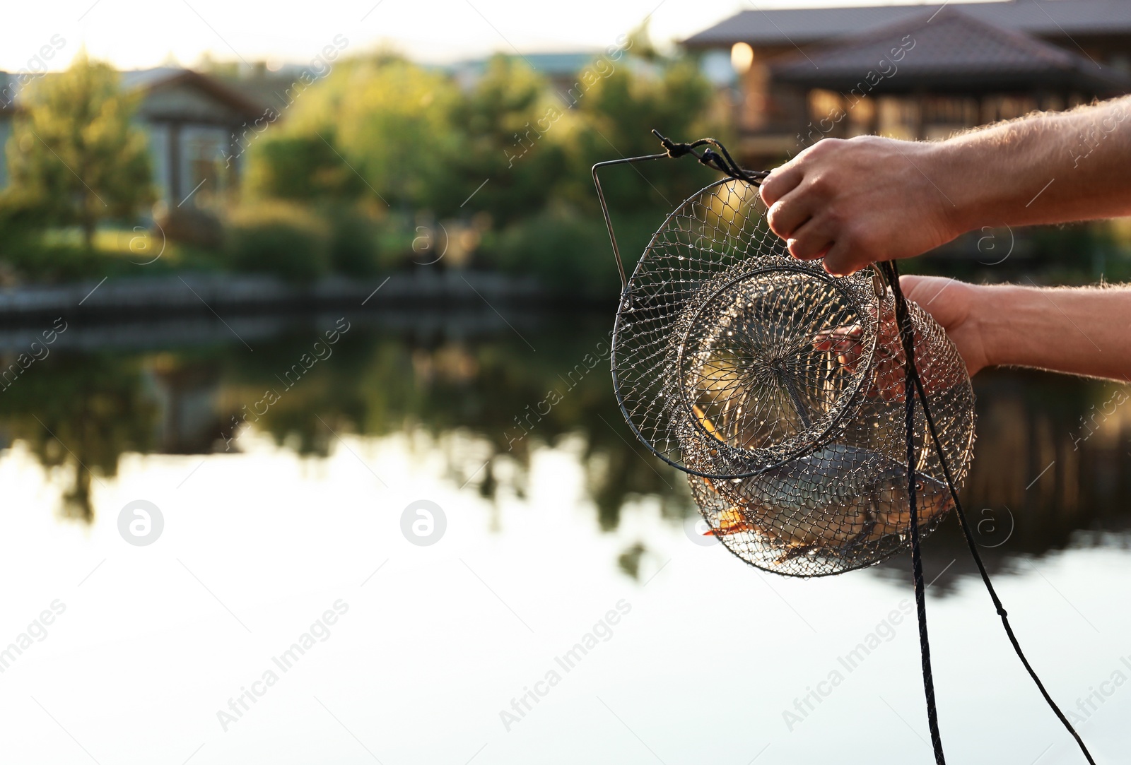 Photo of Man holding caught fish at lake, closeup. Space for text