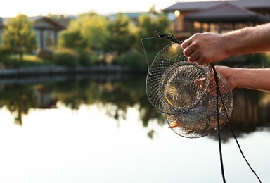 Man holding caught fish at lake, closeup. Space for text