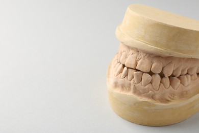 Dental model with gums on light grey background, closeup and space for text. Cast of teeth