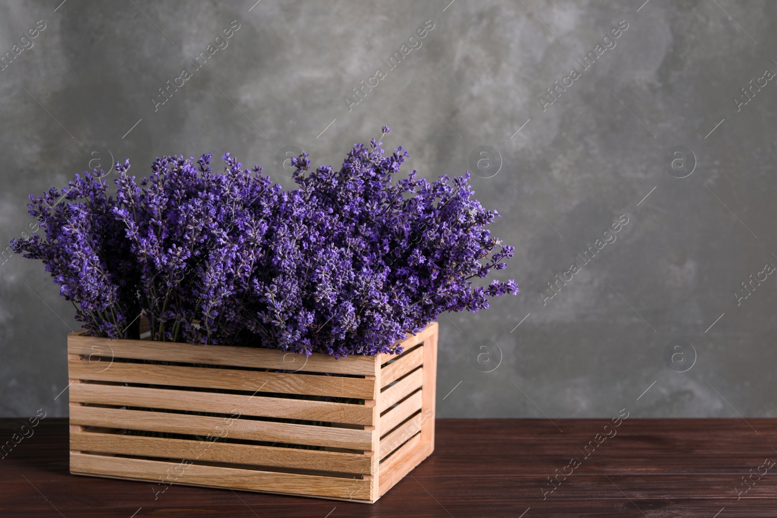 Photo of Beautiful lavender flowers in crate on wooden table against grey background. Space for text