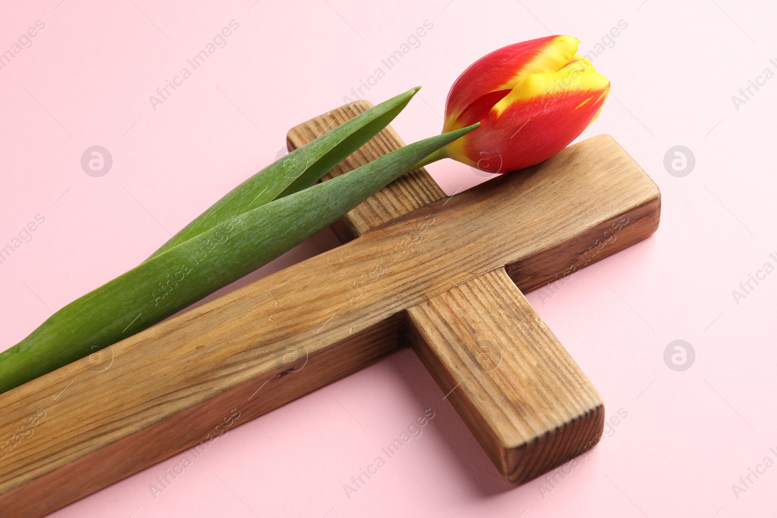 Photo of Easter - celebration of Jesus resurrection. Wooden cross and tulip on pink background, closeup