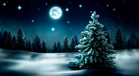 Image of Picturesque winter landscape, banner design. Meadow and forest covered with snow lit by full moon at night