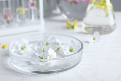 Photo of Petri dish with flowers on white wooden table. Extracting essential oil for perfumery and cosmetics