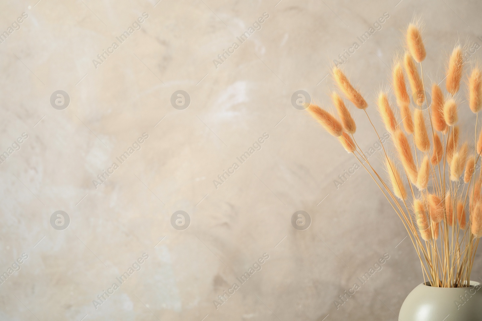Photo of Dried flowers in vase against light grey background. Space for text