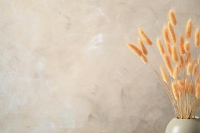 Photo of Dried flowers in vase against light grey background. Space for text