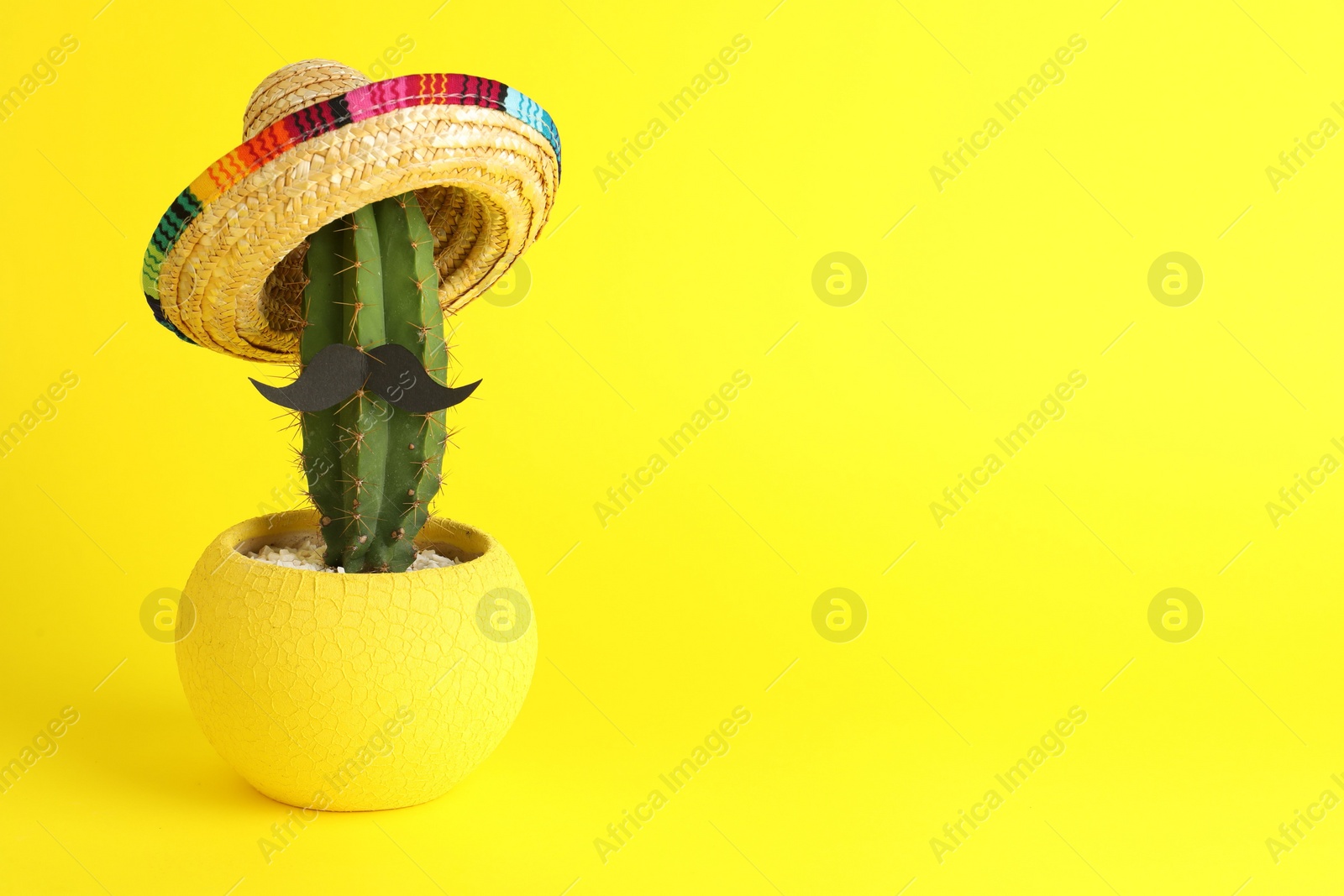 Photo of Cactus with Mexican sombrero hat and fake mustache on yellow background, space for text