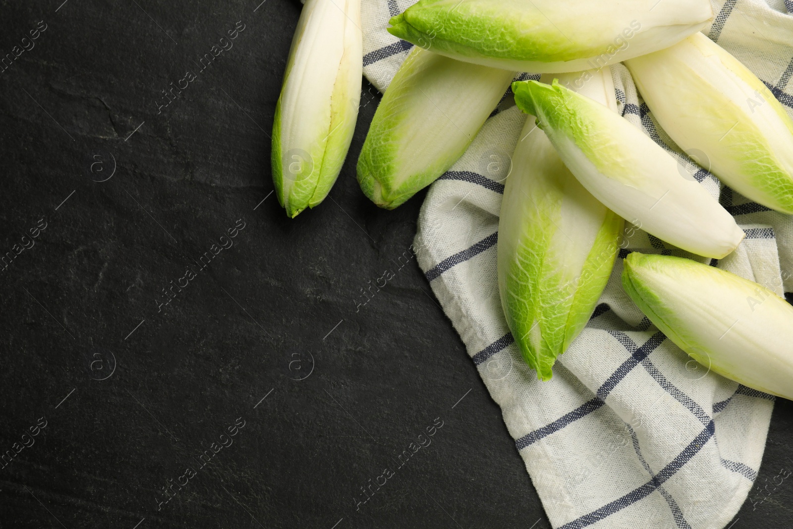 Photo of Fresh raw Belgian endives (chicory) on black table, top view. Space for text