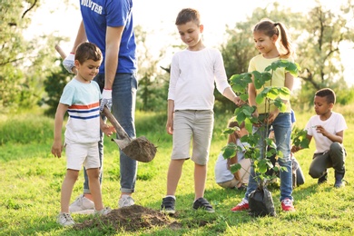 Photo of Kids planting tree with volunteer in park