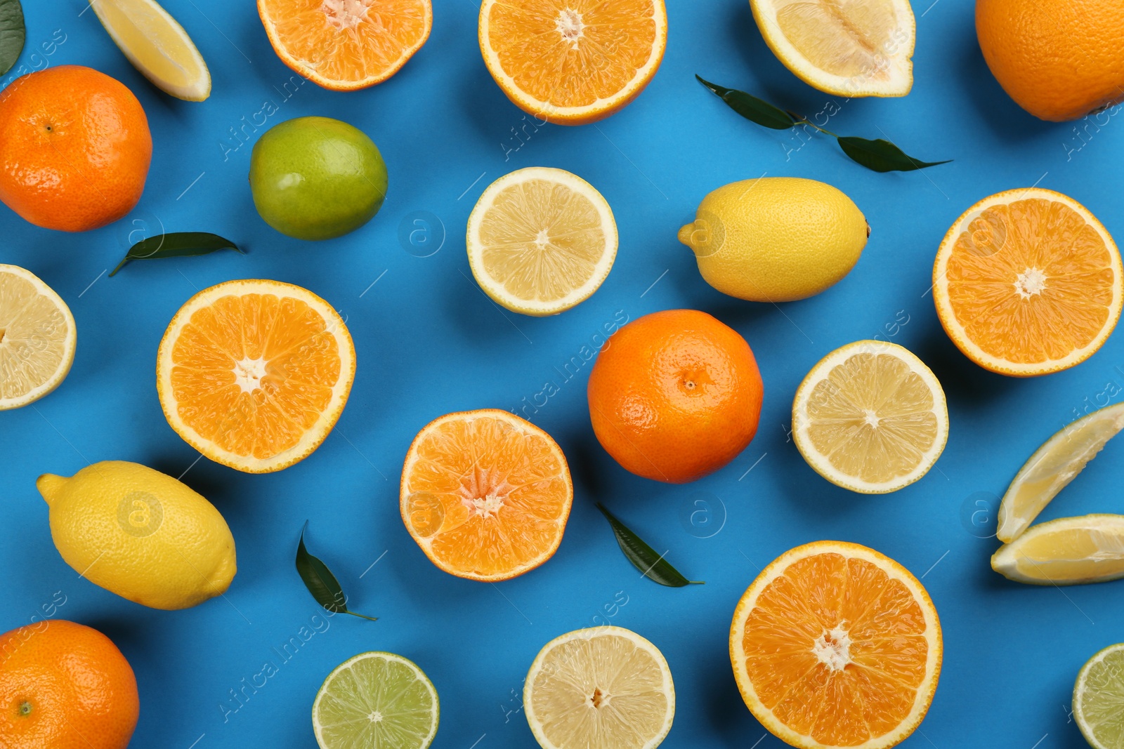 Photo of Flat lay composition with tangerines and different citrus fruits on blue background