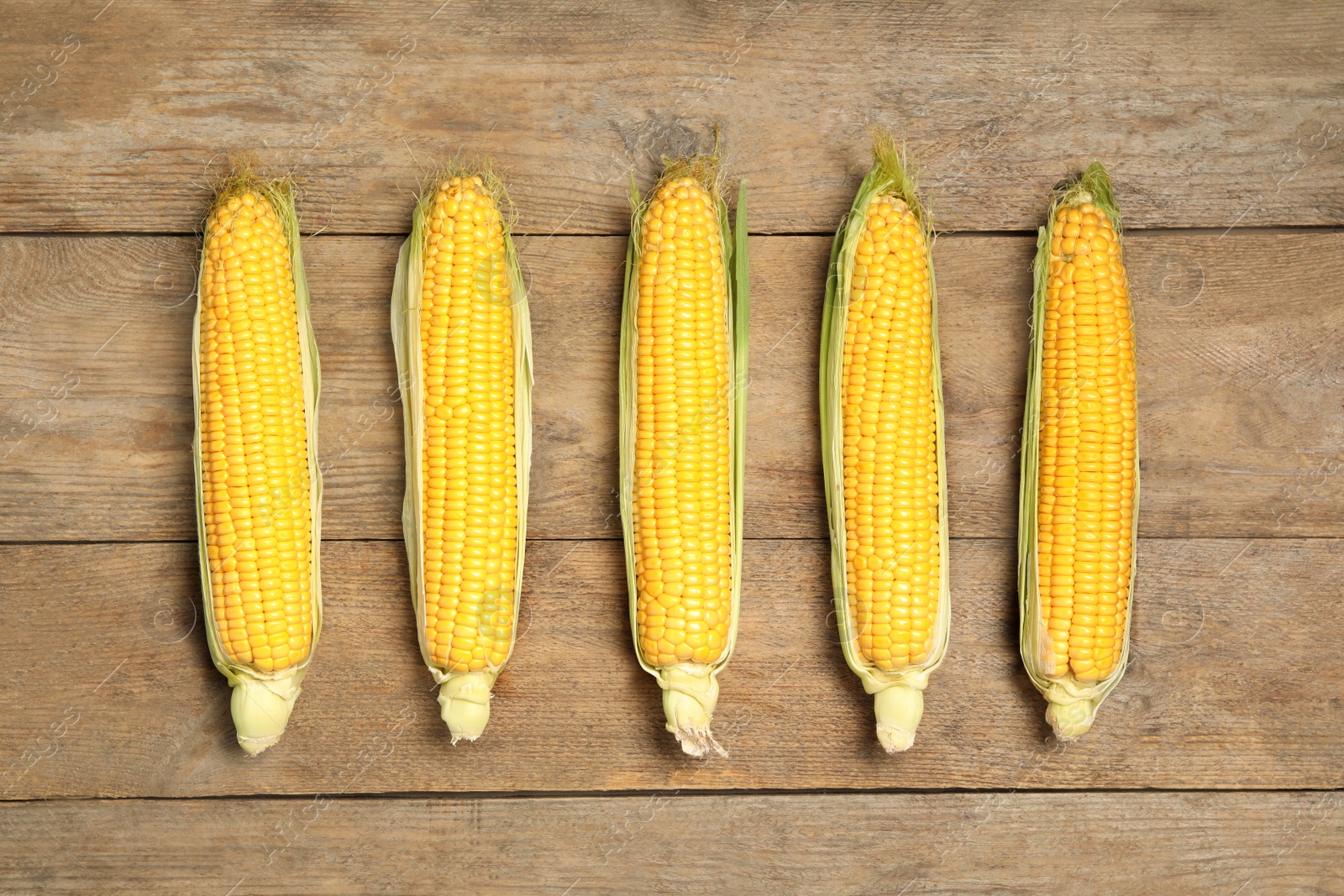 Photo of Tasty sweet corn cobs on wooden table, flat lay