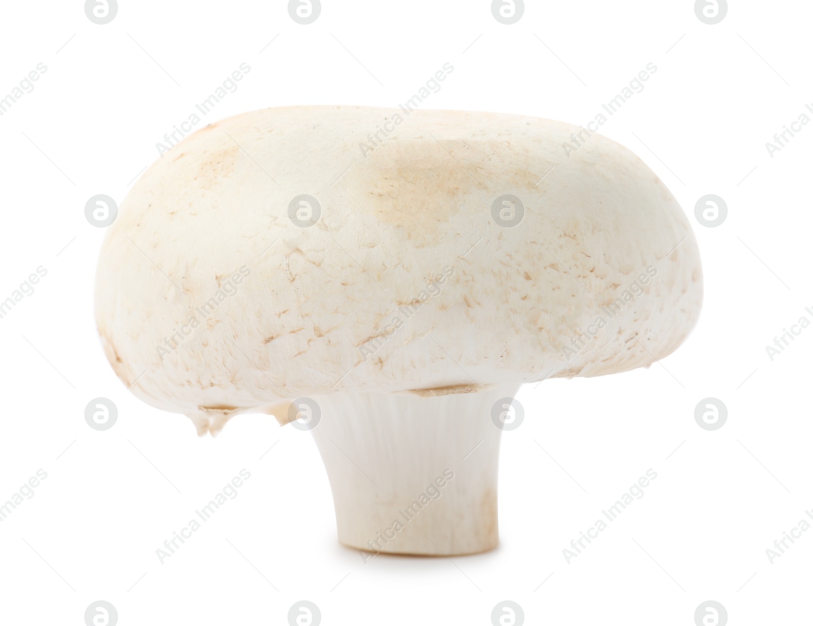 Photo of Fresh raw champignon mushroom on white background