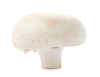 Fresh raw champignon mushroom on white background