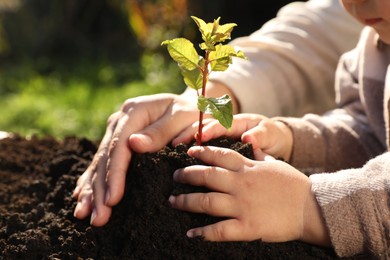 Mother and daughter planting young tree in garden, closeup
