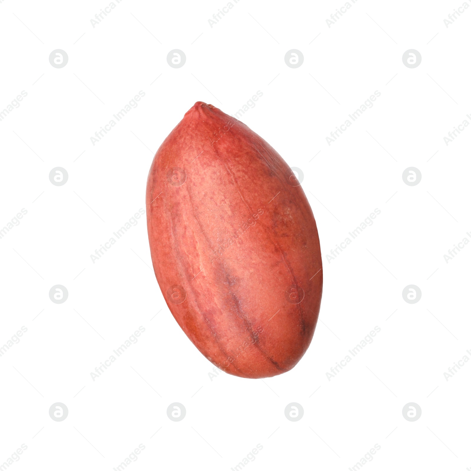 Photo of One fresh unpeeled peanut isolated on white