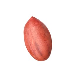 Photo of One fresh unpeeled peanut isolated on white