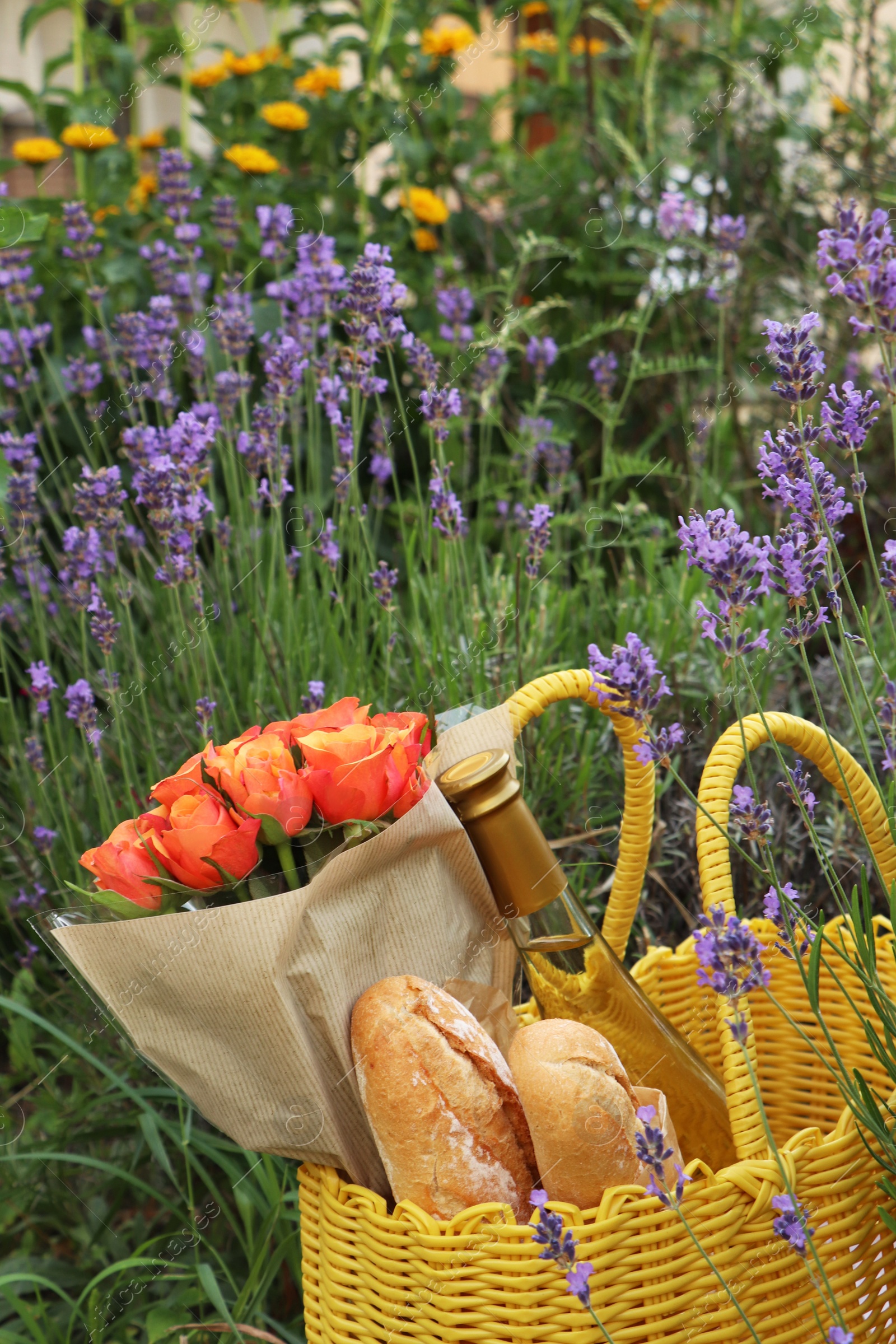 Photo of Yellow wicker bag with beautiful roses, bottle of wine and baguettes in lavender field