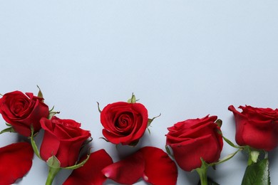 Beautiful red roses and petals on grey background, flat lay. Space for text