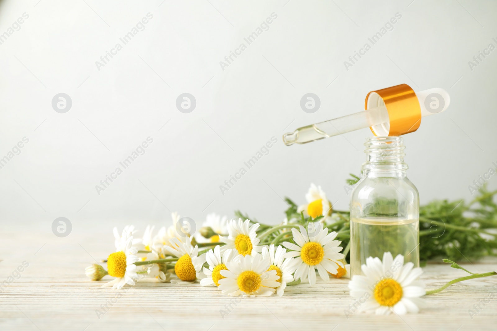 Photo of Bottle of chamomile essential oil and flowers on white table, space for text