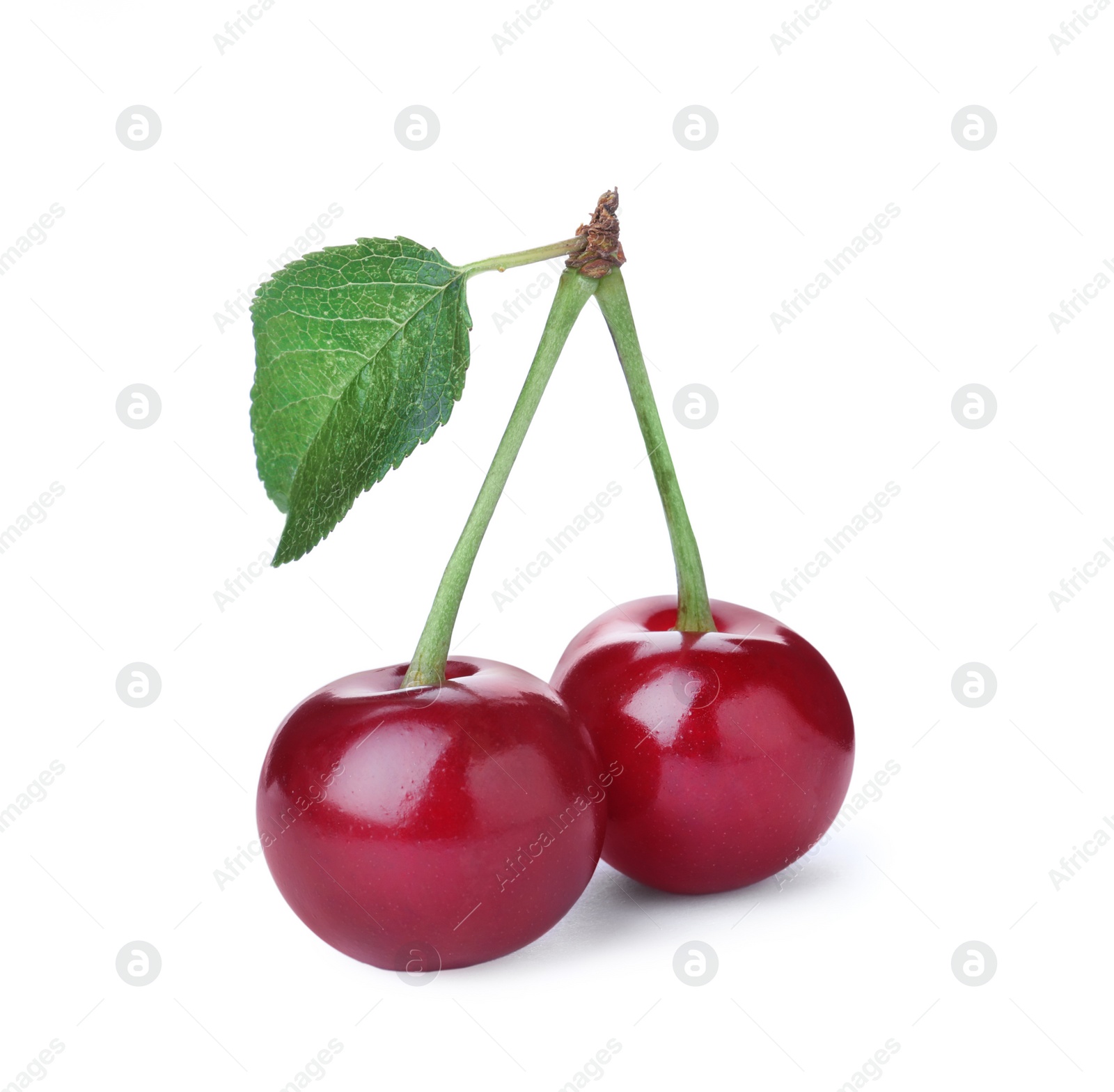 Photo of Sweet red juicy cherries with leaf isolated on white