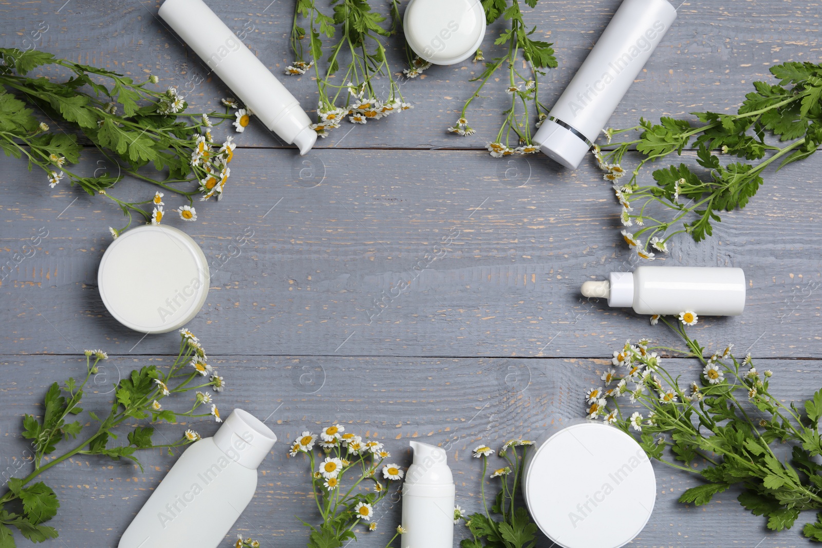 Photo of Frame of chamomile flowers and cosmetic products on wooden table, top view. Space for text