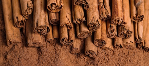 Cinnamon sticks on powder, above view. Banner design