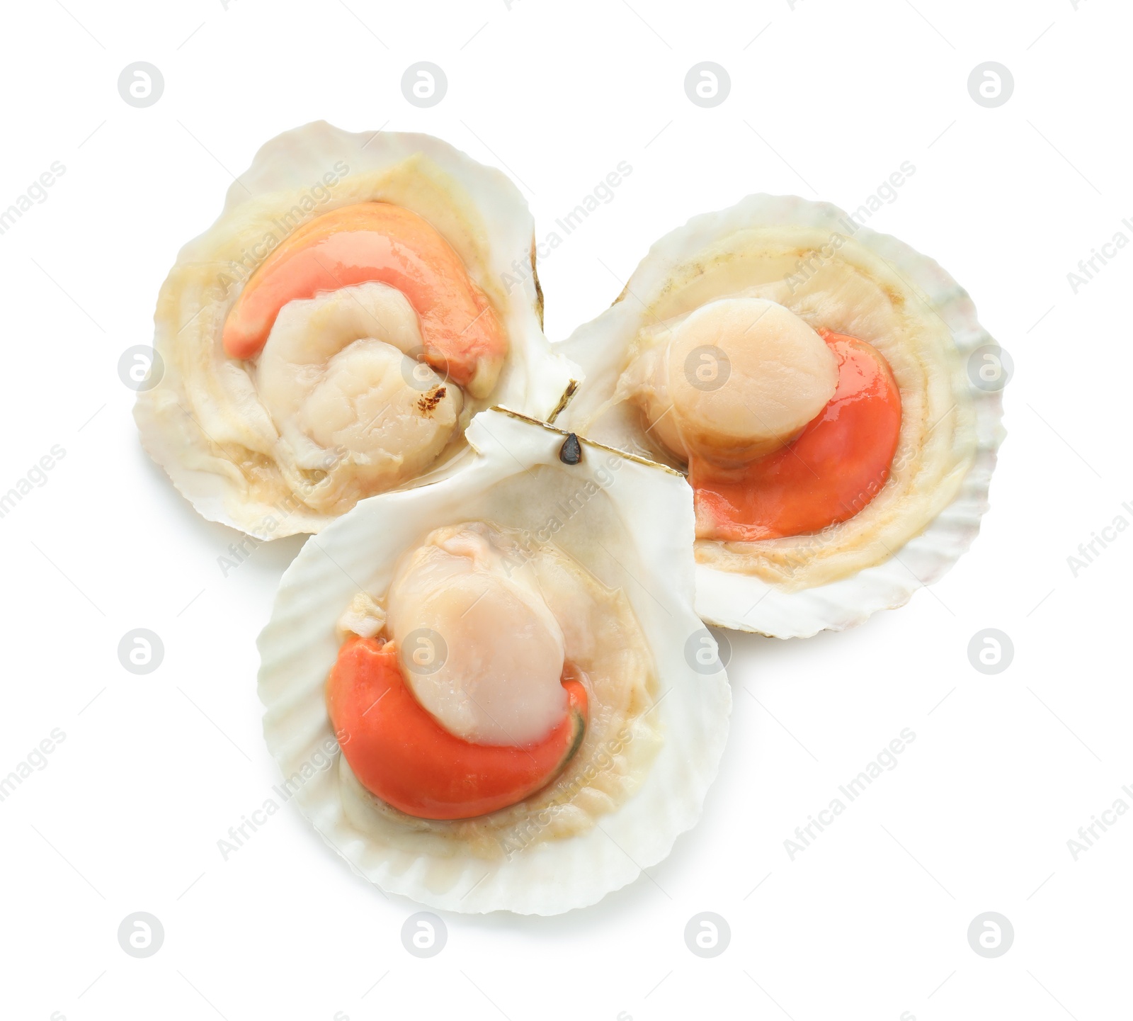 Photo of Fresh raw scallops in shells isolated on white, top view