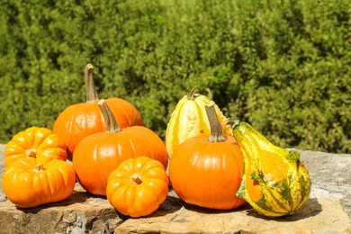 Many different ripe orange pumpkins on stone surface in garden