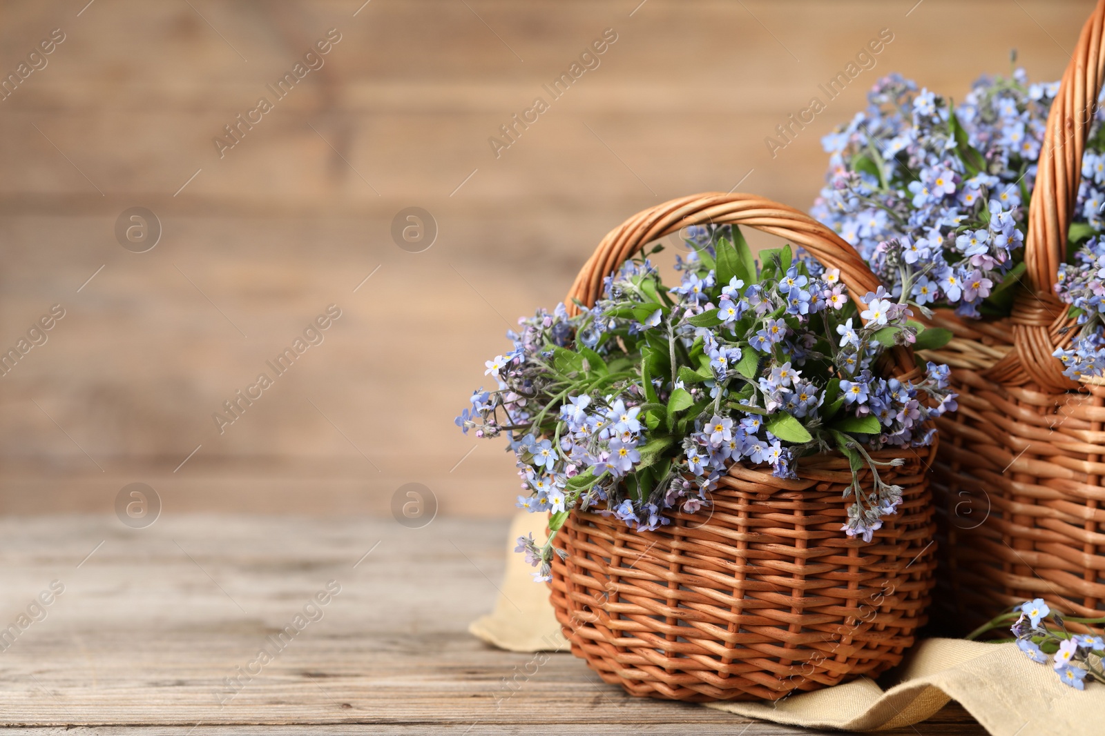 Photo of Beautiful forget-me-not flowers in wicker baskets on wooden table, closeup. Space for text