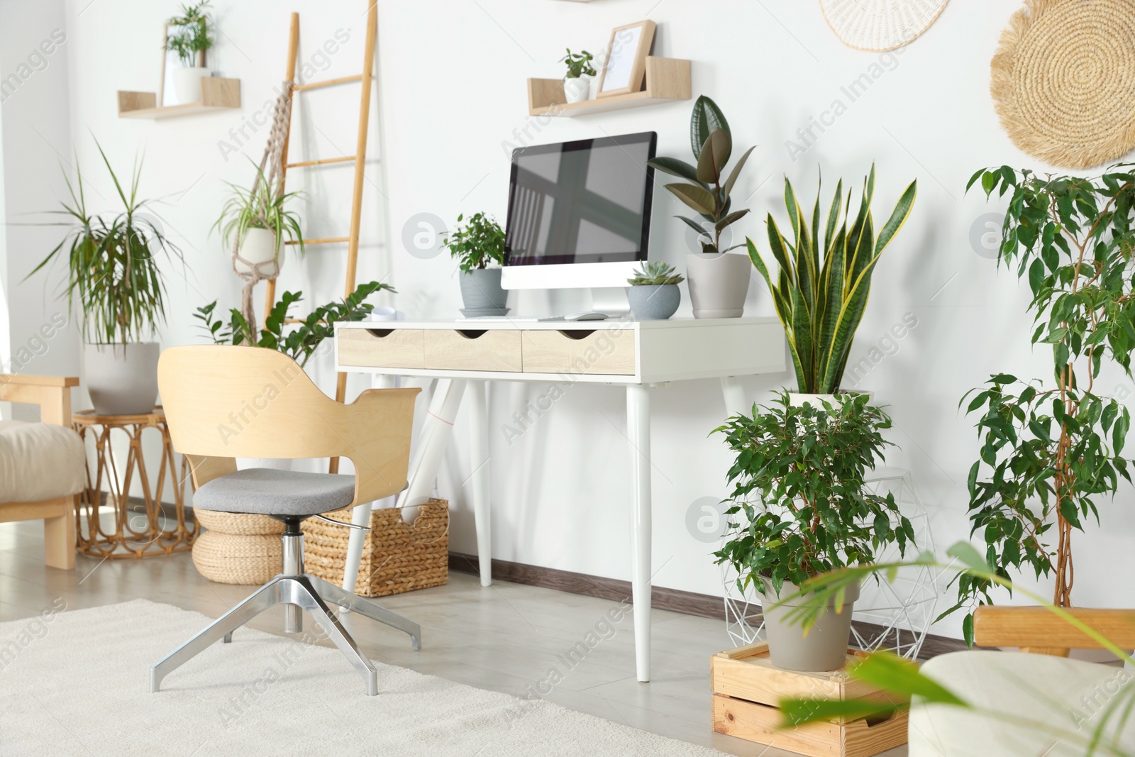 Photo of Comfortable workplace with modern computer and different houseplants in room