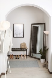 Modern hallway interior with large mirror and houseplant