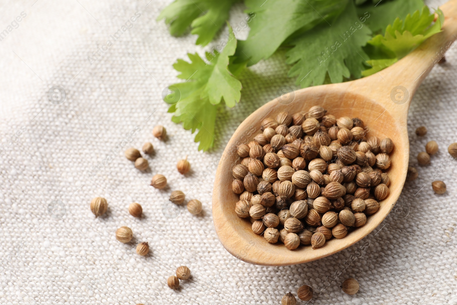 Photo of Spoon with dried coriander seeds and green leaves on light cloth, closeup