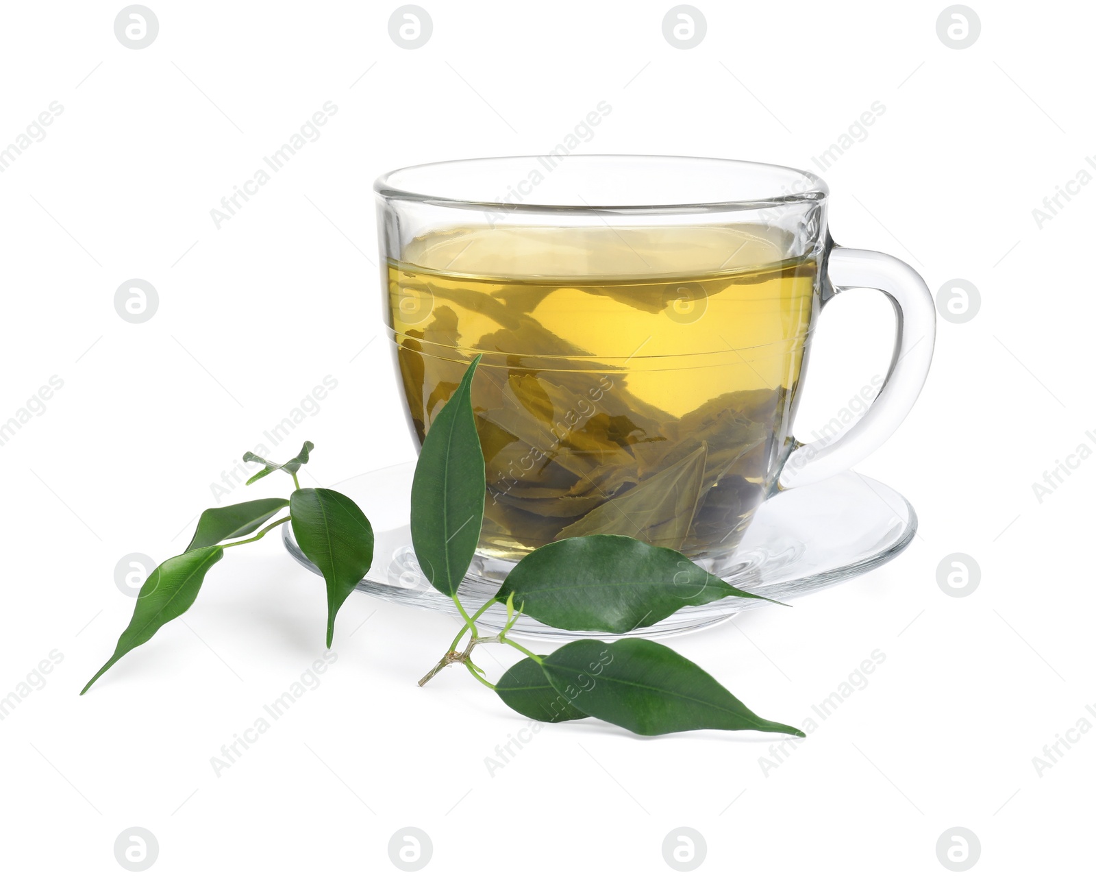 Photo of Fresh green tea in glass cup, leaves and saucer isolated on white