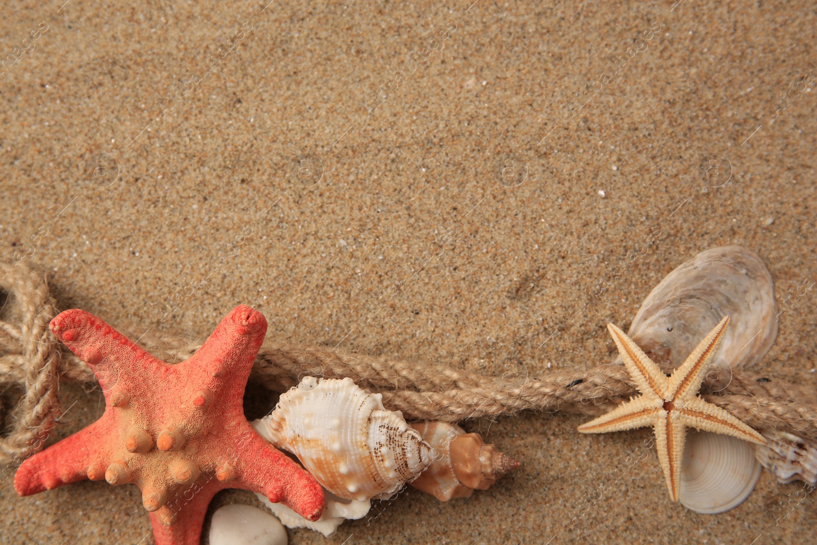 Photo of Beautiful sea stars, shells and rope on sand, flat lay. Space for text