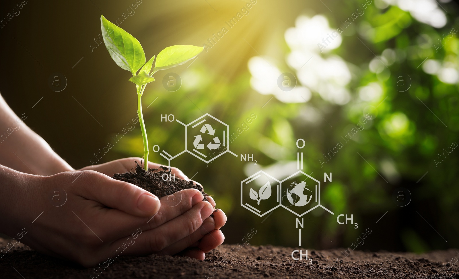 Image of Illustration of chemical formulas and woman holding young green seedling in soil, closeup