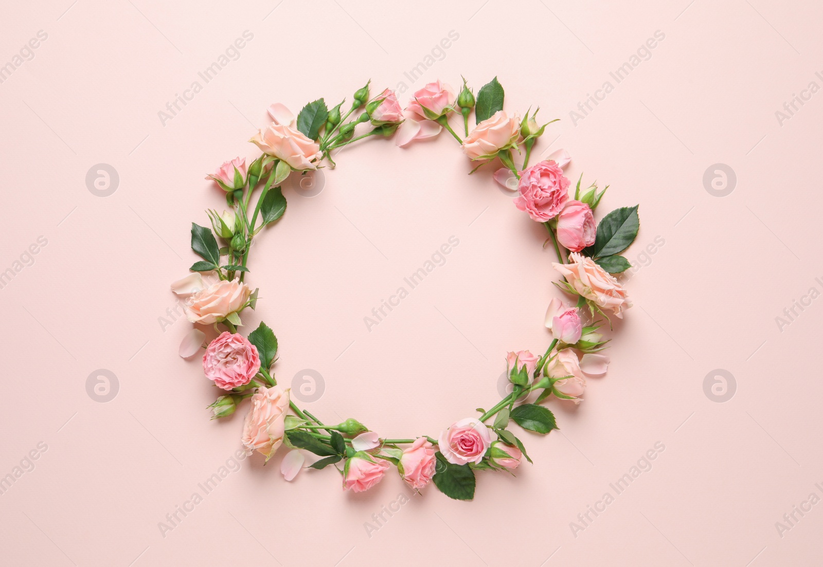 Photo of Wreath made of beautiful flowers and green leaves on pale pink background, flat lay. Space for text