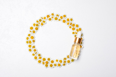 Photo of Frame of chamomile flowers and cosmetic oil on white background, top view. Space for text