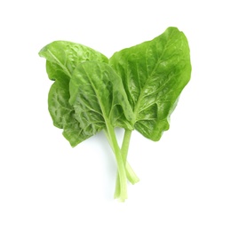 Fresh leaves of spinach isolated on white, top view