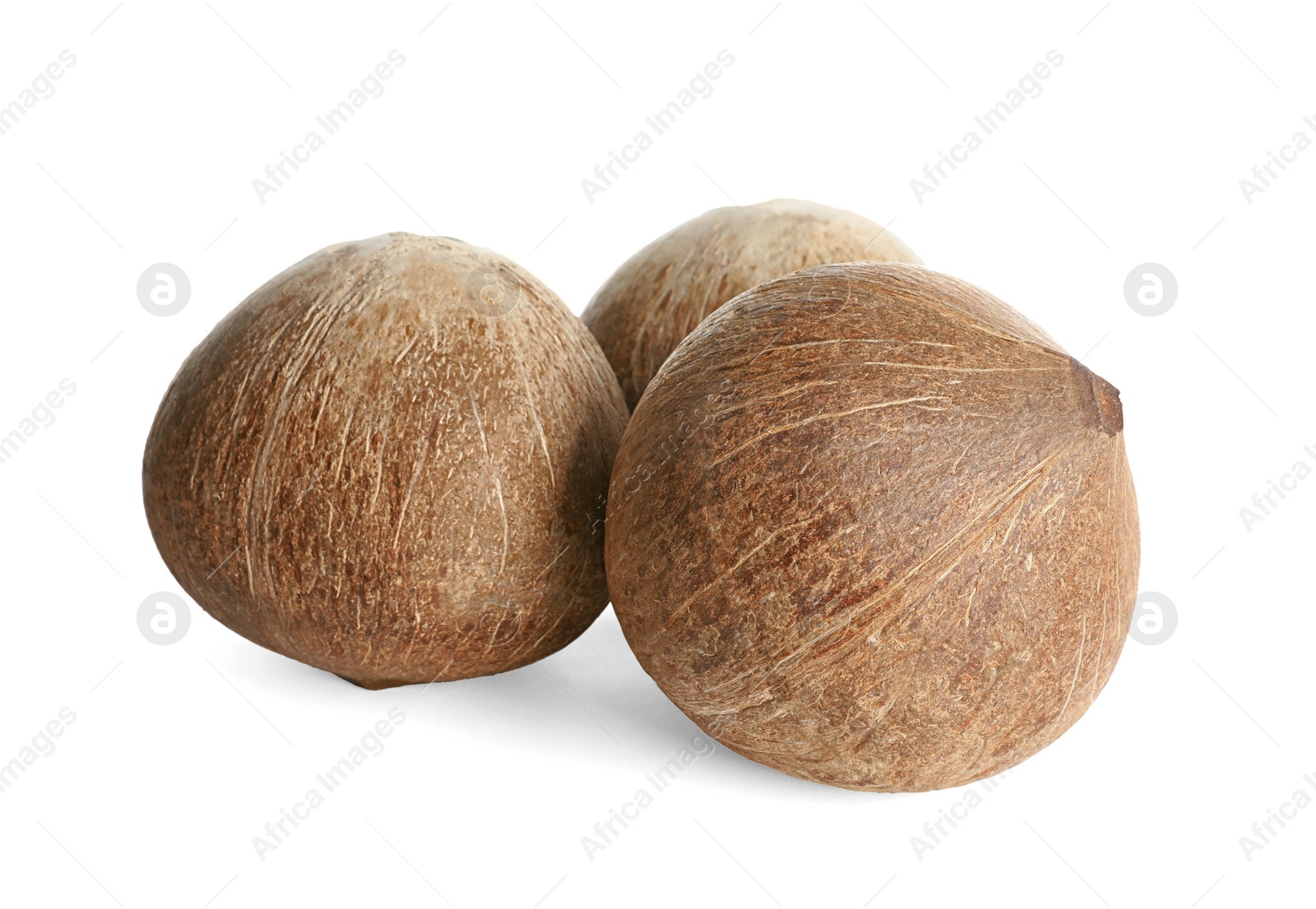 Photo of Ripe whole brown coconuts on white background