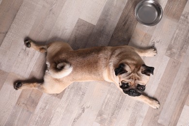 Photo of Cute pug dog suffering from heat stroke near bowl of water on floor at home, top view