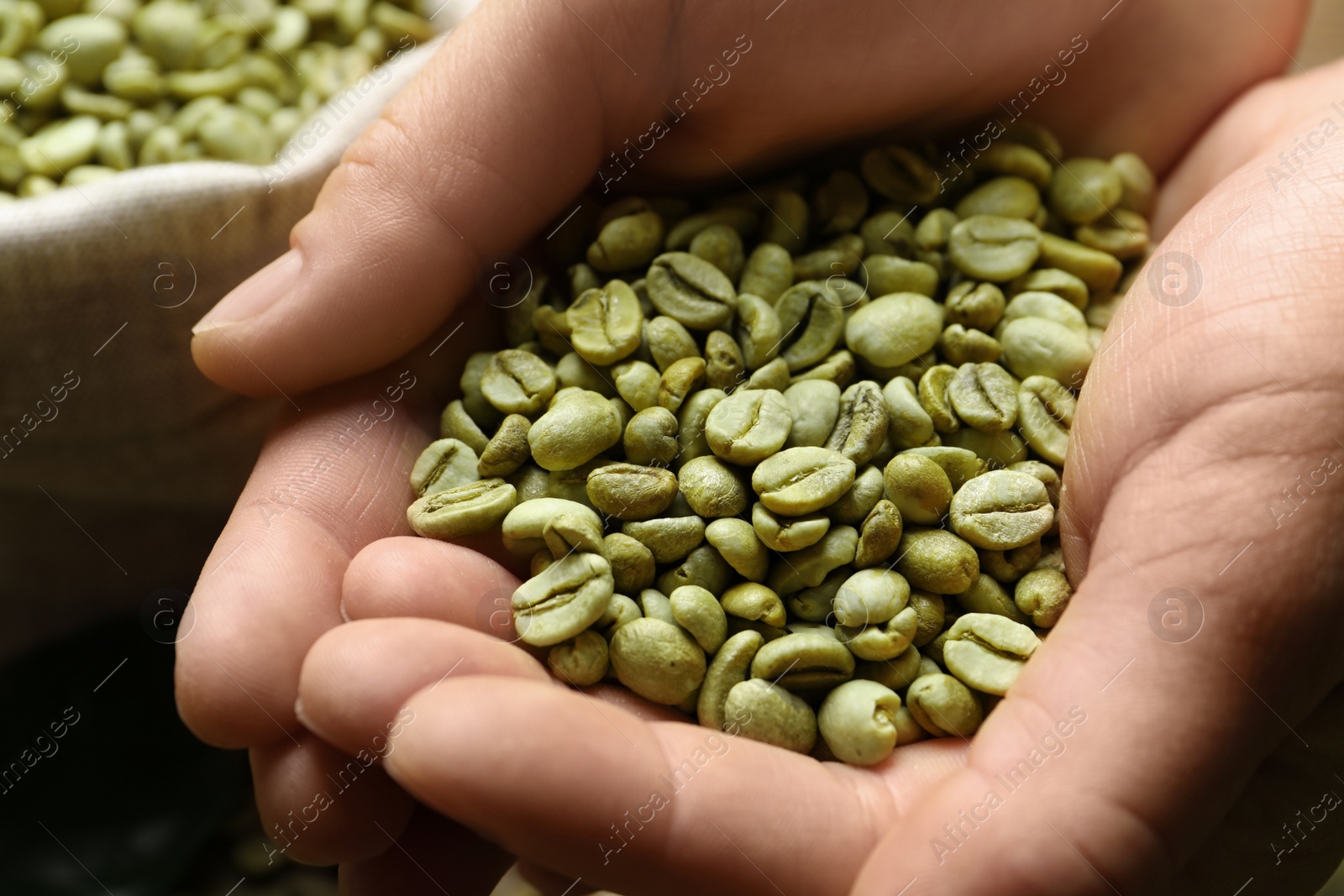 Photo of Woman holding pile of green coffee beans, closeup