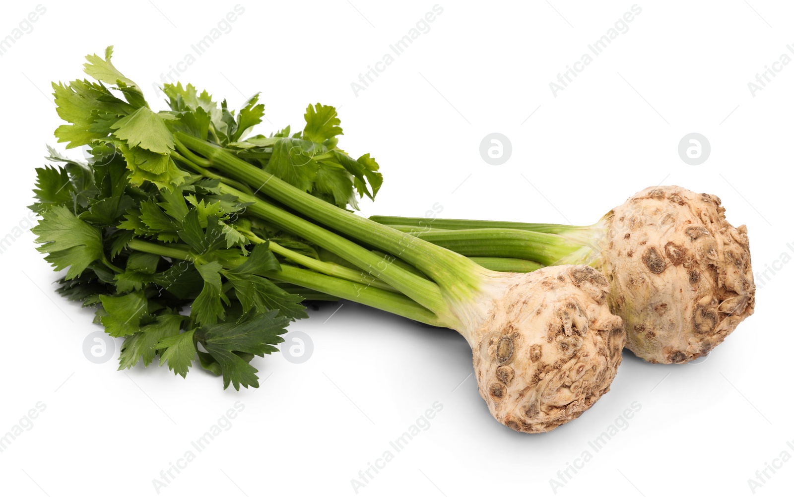 Photo of Fresh raw celery roots with stalks isolated on white