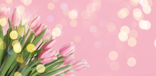 Image of Bouquet of beautiful spring tulips on pink background, space for text. Banner design