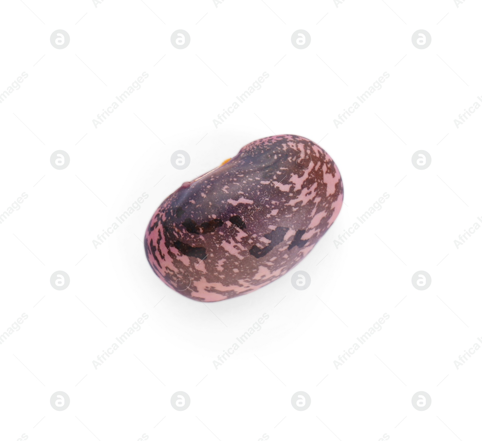 Photo of Dry kidney bean isolated on white, top view