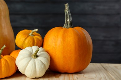 Photo of Thanksgiving day. Many different pumpkins on wooden table, closeup