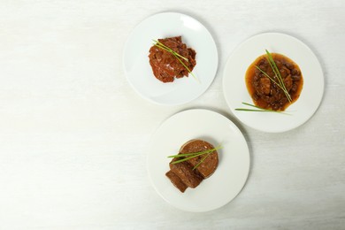 Photo of Plates with different pet food and grass on white table, flat lay. Space for text